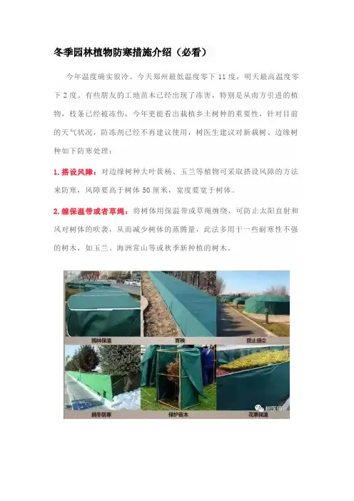 冬季园林植物防寒措施介绍