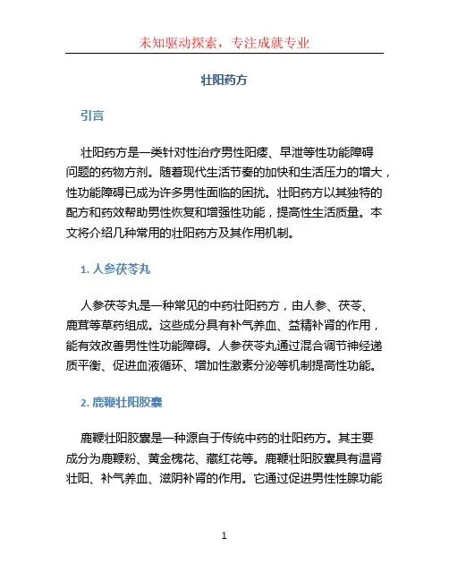 壮阳药方文档