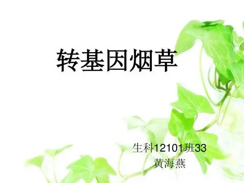 转基因烟草