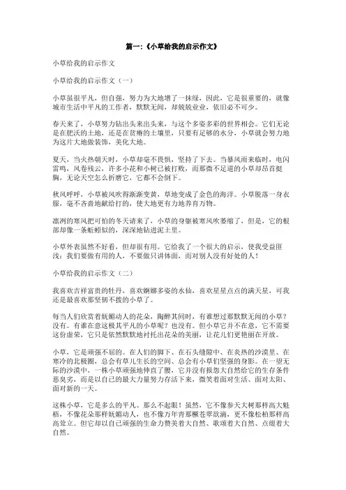 小草的启示500