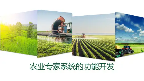 农业专家系统—农业专家系统的功能开发