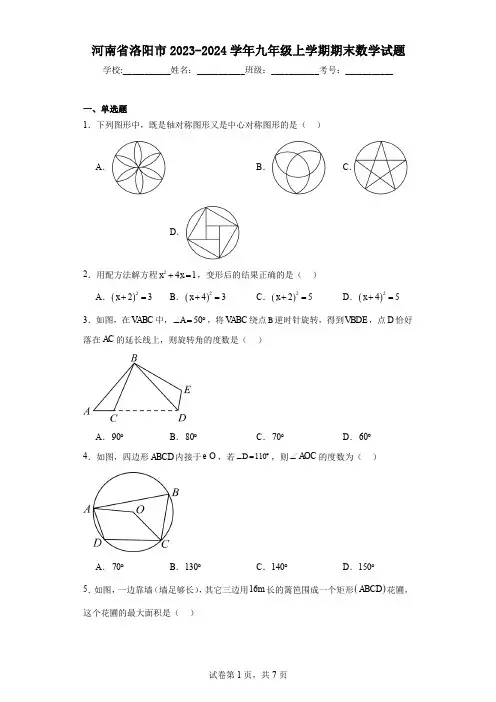 河南省洛阳市2023-2024学年九年级上学期期末数学试题