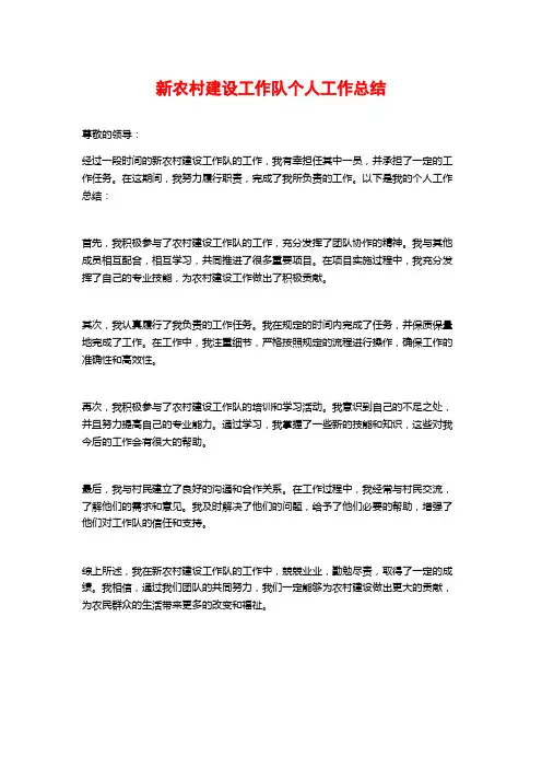 新农村建设工作队个人工作总结 (2)