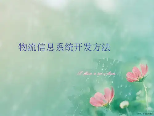 物流信息系统开发方法