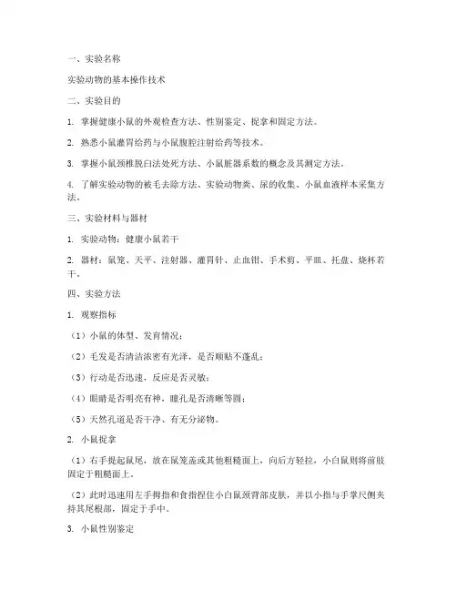 动物实验报告范本