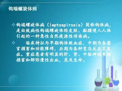 传染病护理学教学培训课件：4.1钩端螺旋体病