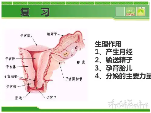 子宫颈癌病人的护理ppt课件