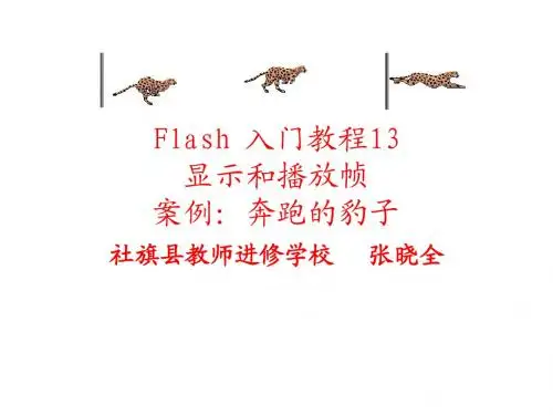 Flash 入门教程13：显示和播放帧