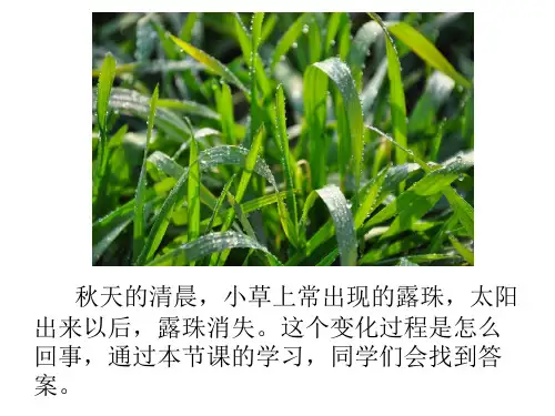 人教版八年级上册物理  3.3 汽化和液化  课件