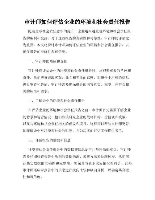 审计师如何评估企业的环境和社会责任报告