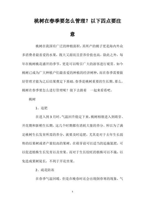 桃树在春季要怎么管理？以下四点要注意