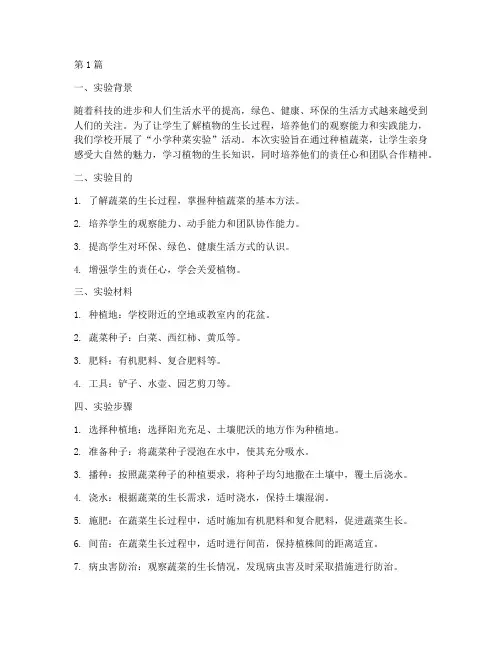 小学种菜实验报告范文(3篇)