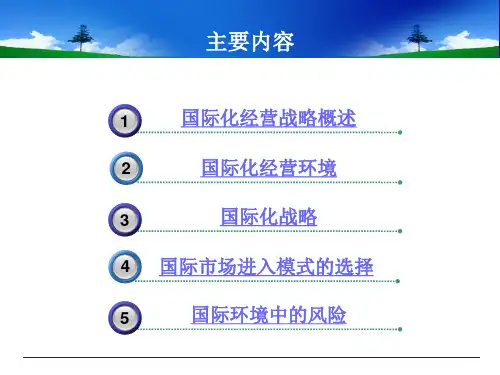 国际化战略课件PPT48张