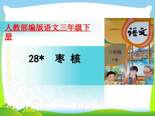 【新】人教部编版三年级下语文课件-28枣核(18张).ppt