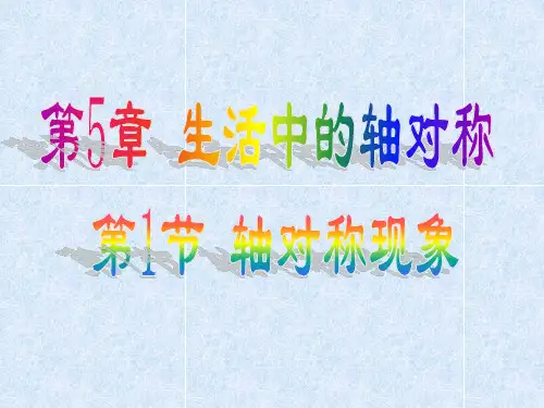 北师大版七年级数学下册-第5章-生活中的轴对称-5.1-轴对称现象课件14张PPT