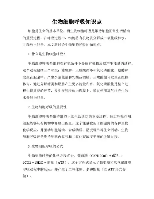 生物细胞呼吸知识点