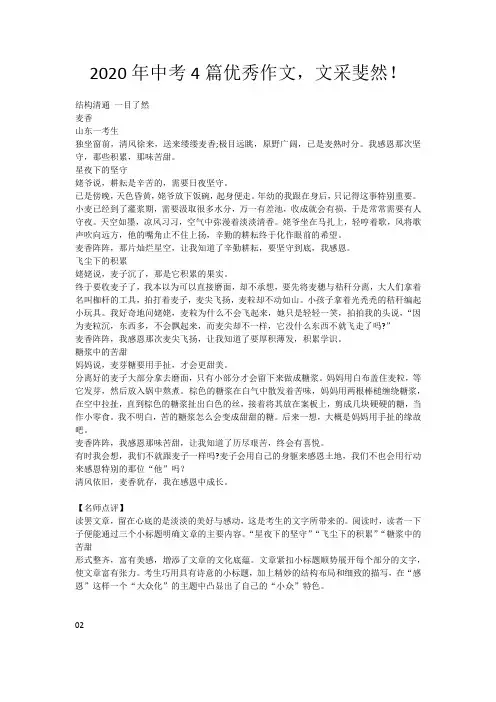 2020年中考4篇优秀作文,文采斐然!(附有名师点评)