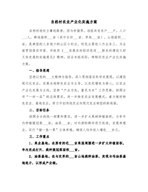 自然村农业产业化实施方案(三篇)