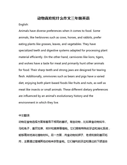 动物喜欢吃什么作文三年级英语