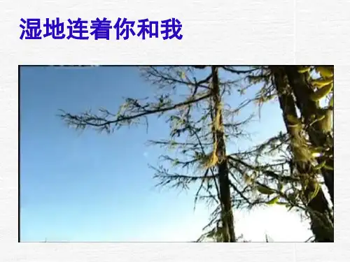 湘教版必修三2.2 湿地资源的开发与保护 (共23张PPT)