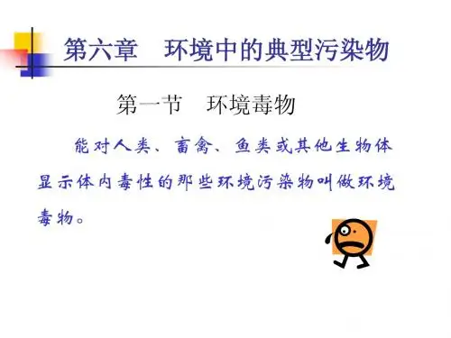 环 境 化 学 (第六章)