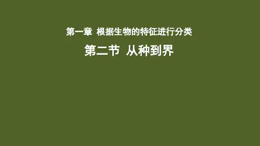 从种到界ppt课件