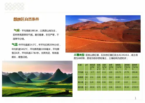 农旅现代农业产业示范园区ppt课件