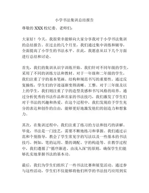 小学书法集训总结报告
