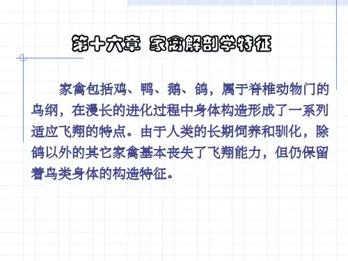 第十六章 家禽解剖特征