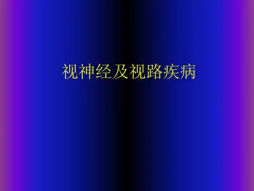 视神经