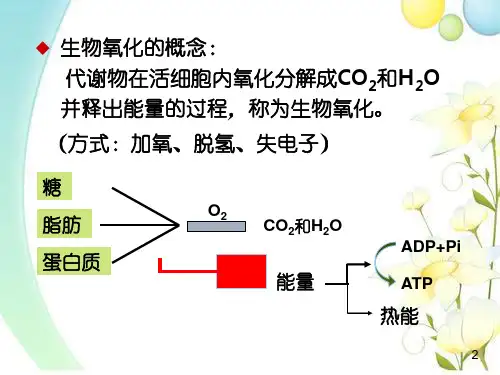 生物氧化过程形成原理