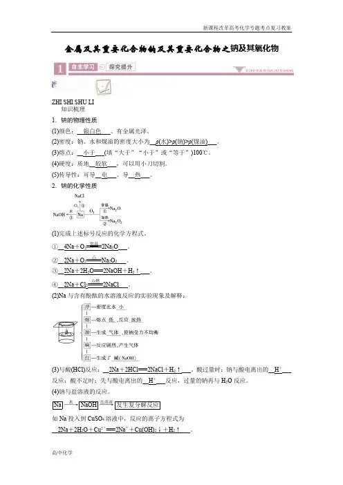 新课程高考化学高中化学重难点复习教案金属及其重要化合物钠及其重要化合物之钠及其氧化物