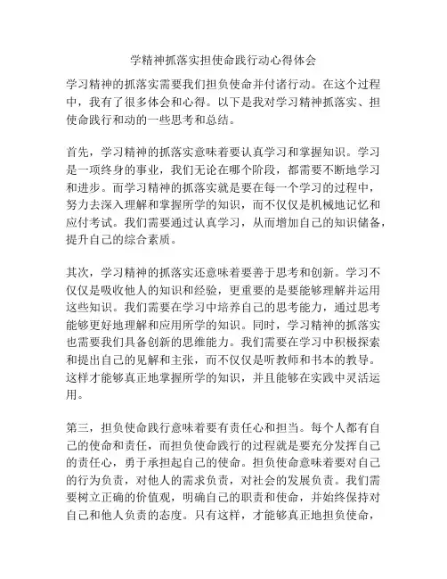 学精神抓落实担使命践行动心得体会