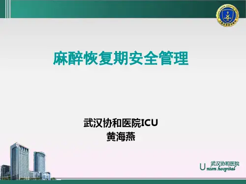 麻醉恢复期安全管理