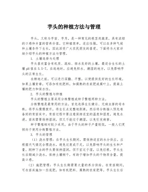 芋头的种植方法与管理
