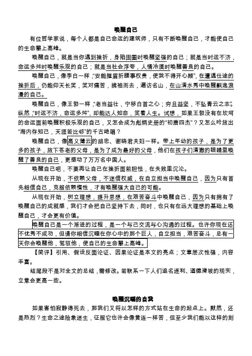 高中优秀议论文：唤醒自己