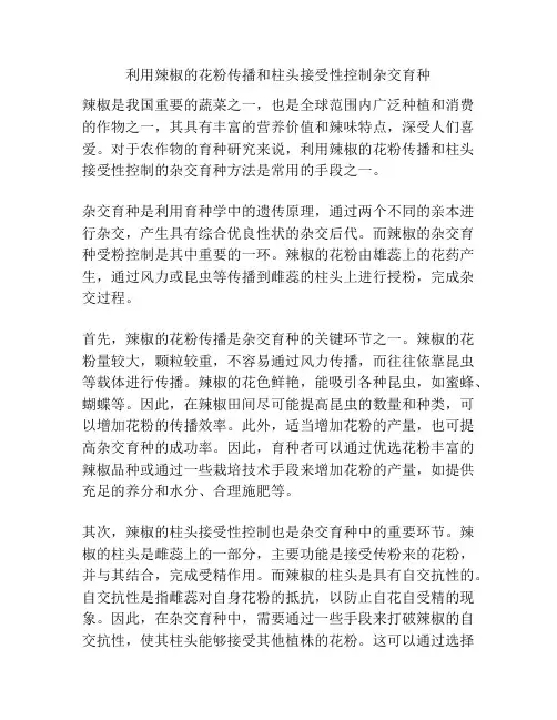 利用辣椒的花粉传播和柱头接受性控制杂交育种