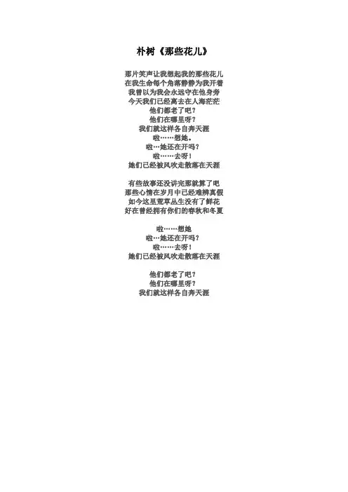 朴树《那些花儿》的歌词
