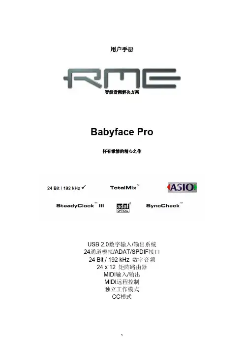 RME Babyface Pro 中文说明书