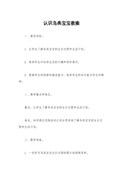 认识鸟类宝宝教案