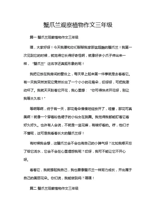 蟹爪兰观察植物作文三年级