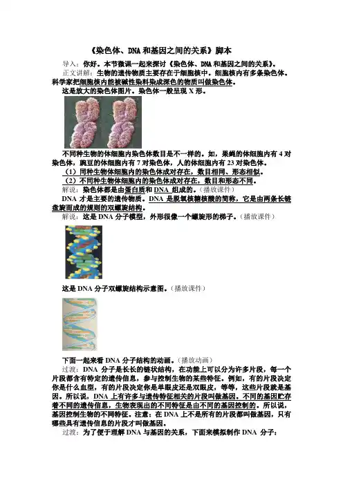 染色体、dna和基因之间的关系--微课脚本