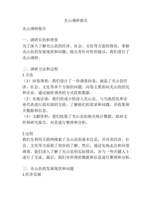 光山调研报告