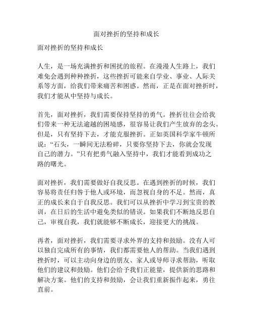 面对挫折的坚持和成长