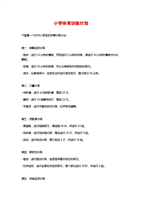 小学体育训练计划 (2)