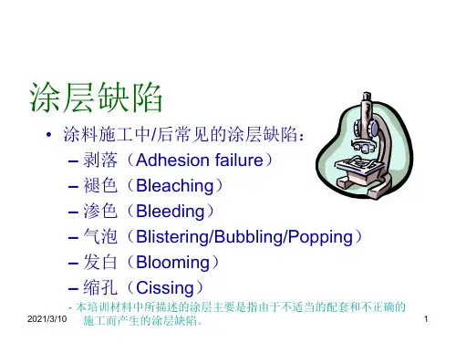 涂层缺陷分析课件ppt