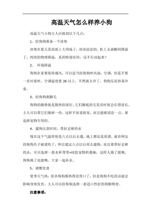 高温天气怎么样养小狗