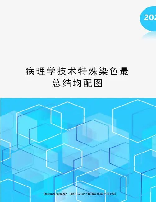 病理学技术特殊染色最总结均配图