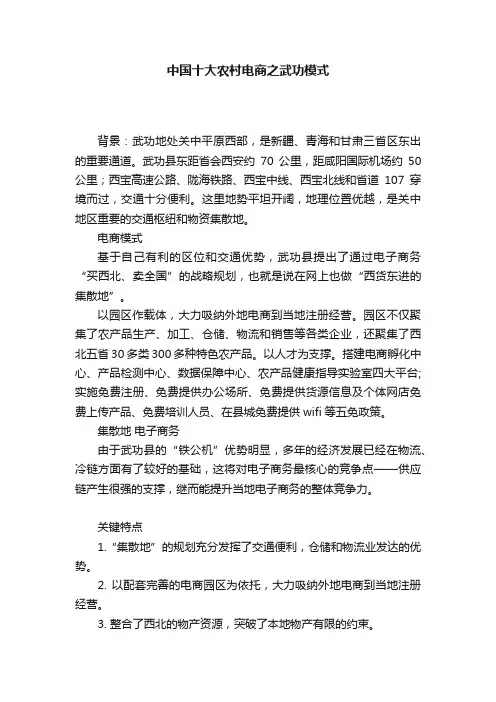 中国十大农村电商之武功模式