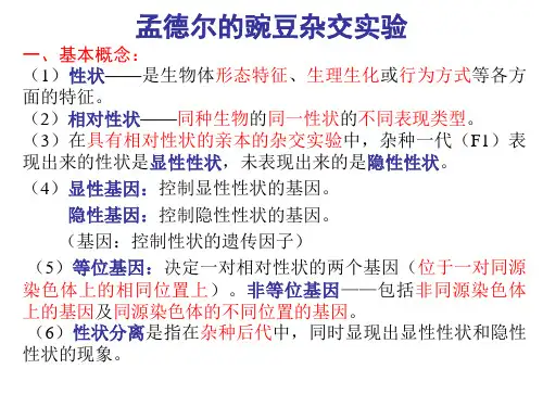 生物必修二孟德尔遗传定律复习